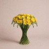Желтая махровая фрезия, Италия