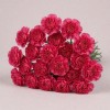 Гвоздика Хэндел, Колумбия, 70 см