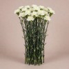 Кустовая гвоздика Каса, Китай, 60 см