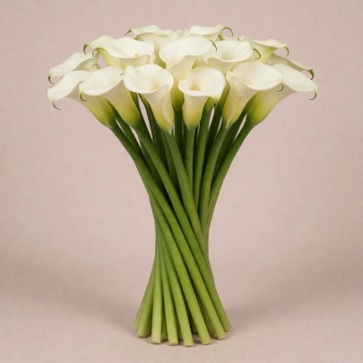 Калла Амбианс, Испания, 80 см
