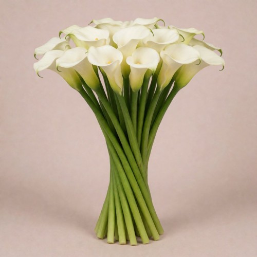 Калла Амбианс, Испания, 80 см