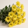 Жёлтая кустовая хризантема Руи, Китай, 70 см