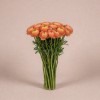 Персиковый ранункулус Саксес, Колумбия, 45 см
