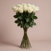 Одноголовая роза Экзотик Сент, Эквадор, 50 см
