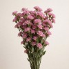 Розовая крашеная стифа сухоцвет, Италия, 45 см
