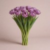 Махровый тюльпан Пепл Меджик, Нидерланды, 34 см
