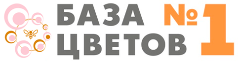 Цветочная База №1