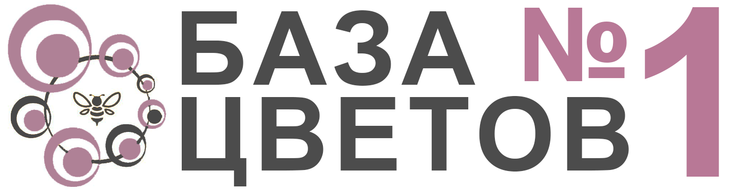 Цветочная База №1